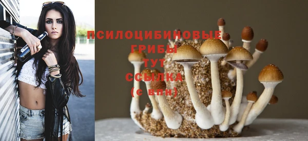 тгк Медногорск