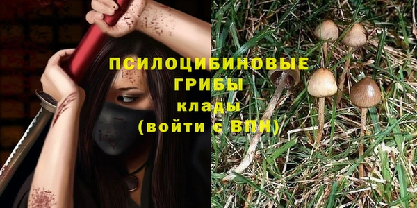 тгк Медногорск