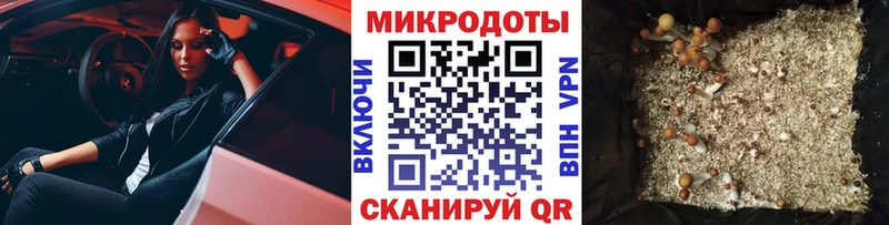 Галлюциногенные грибы ЛСД  Купить где  Берёзовка 